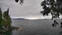 ./images/koeye/fitz-hugh/20250701/fitz-hugh20250701_172510M.jpg
