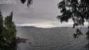 ./images/koeye/fitz-hugh/20250701/fitz-hugh20250701_173509M.jpg