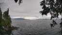 ./images/koeye/fitz-hugh/20250701/fitz-hugh20250701_174010M.jpg