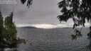 ./images/koeye/fitz-hugh/20250701/fitz-hugh20250701_175010M.jpg