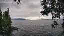 ./images/koeye/fitz-hugh/20250701/fitz-hugh20250701_180511M.jpg