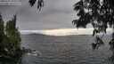 ./images/koeye/fitz-hugh/20250701/fitz-hugh20250701_182509M.jpg