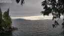 ./images/koeye/fitz-hugh/20250701/fitz-hugh20250701_183510M.jpg