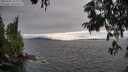 ./images/koeye/fitz-hugh/20250701/fitz-hugh20250701_184010M.jpg