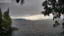 ./images/koeye/fitz-hugh/20250701/fitz-hugh20250701_185009M.jpg