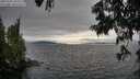 ./images/koeye/fitz-hugh/20250701/fitz-hugh20250701_185510M.jpg