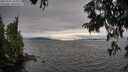 ./images/koeye/fitz-hugh/20250701/fitz-hugh20250701_190009M.jpg