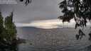 ./images/koeye/fitz-hugh/20250701/fitz-hugh20250701_191508M.jpg