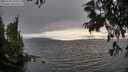 ./images/koeye/fitz-hugh/20250701/fitz-hugh20250701_194009M.jpg