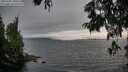 ./images/koeye/fitz-hugh/20250701/fitz-hugh20250701_200509M.jpg