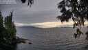 ./images/koeye/fitz-hugh/20250701/fitz-hugh20250701_202508M.jpg