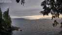 ./images/koeye/fitz-hugh/20250701/fitz-hugh20250701_203008M.jpg