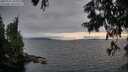 ./images/koeye/fitz-hugh/20250701/fitz-hugh20250701_205008M.jpg