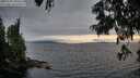 ./images/koeye/fitz-hugh/20250701/fitz-hugh20250701_205509M.jpg