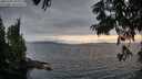 ./images/koeye/fitz-hugh/20250701/fitz-hugh20250701_210008M.jpg