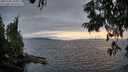 ./images/koeye/fitz-hugh/20250701/fitz-hugh20250701_211009M.jpg