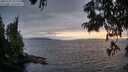 ./images/koeye/fitz-hugh/20250701/fitz-hugh20250701_211508M.jpg