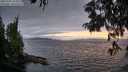 ./images/koeye/fitz-hugh/20250701/fitz-hugh20250701_212509M.jpg