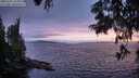 ./images/koeye/fitz-hugh/20250701/fitz-hugh20250701_214009M.jpg