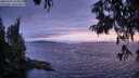 ./images/koeye/fitz-hugh/20250701/fitz-hugh20250701_214509M.jpg