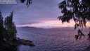./images/koeye/fitz-hugh/20250701/fitz-hugh20250701_215009M.jpg