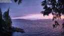 ./images/koeye/fitz-hugh/20250701/fitz-hugh20250701_215509M.jpg