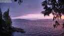 ./images/koeye/fitz-hugh/20250701/fitz-hugh20250701_220009M.jpg