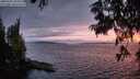 ./images/koeye/fitz-hugh/20250701/fitz-hugh20250701_220508M.jpg