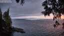 ./images/koeye/fitz-hugh/20250701/fitz-hugh20250701_221008M.jpg