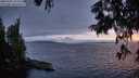 ./images/koeye/fitz-hugh/20250701/fitz-hugh20250701_221509M.jpg