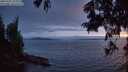 ./images/koeye/fitz-hugh/20250701/fitz-hugh20250701_223010M.jpg