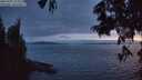 ./images/koeye/fitz-hugh/20250701/fitz-hugh20250701_223508M.jpg