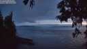 ./images/koeye/fitz-hugh/20250701/fitz-hugh20250701_224009M.jpg