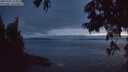 ./images/koeye/fitz-hugh/20250701/fitz-hugh20250701_224508M.jpg