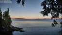 ./images/koeye/fitz-hugh/20250703/fitz-hugh20250703_055009M.jpg