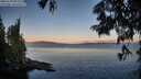 ./images/koeye/fitz-hugh/20250703/fitz-hugh20250703_055509M.jpg