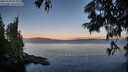 ./images/koeye/fitz-hugh/20250703/fitz-hugh20250703_060010M.jpg