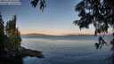 ./images/koeye/fitz-hugh/20250703/fitz-hugh20250703_060510M.jpg