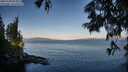 ./images/koeye/fitz-hugh/20250703/fitz-hugh20250703_064011M.jpg