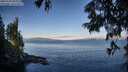 ./images/koeye/fitz-hugh/20250703/fitz-hugh20250703_070009M.jpg