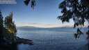 ./images/koeye/fitz-hugh/20250703/fitz-hugh20250703_071011M.jpg