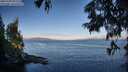 ./images/koeye/fitz-hugh/20250703/fitz-hugh20250703_071508M.jpg