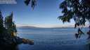 ./images/koeye/fitz-hugh/20250703/fitz-hugh20250703_073011M.jpg