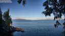 ./images/koeye/fitz-hugh/20250703/fitz-hugh20250703_073508M.jpg