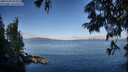 ./images/koeye/fitz-hugh/20250703/fitz-hugh20250703_074511M.jpg