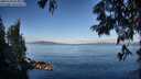 ./images/koeye/fitz-hugh/20250703/fitz-hugh20250703_075011M.jpg