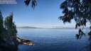 ./images/koeye/fitz-hugh/20250703/fitz-hugh20250703_080012M.jpg