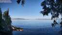 ./images/koeye/fitz-hugh/20250703/fitz-hugh20250703_080511M.jpg