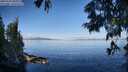 ./images/koeye/fitz-hugh/20250703/fitz-hugh20250703_081011M.jpg