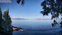 ./images/koeye/fitz-hugh/20250703/fitz-hugh20250703_081510M.jpg